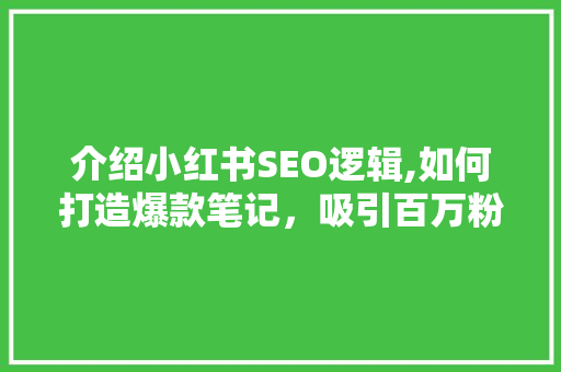 介绍小红书SEO逻辑,如何打造爆款笔记，吸引百万粉丝