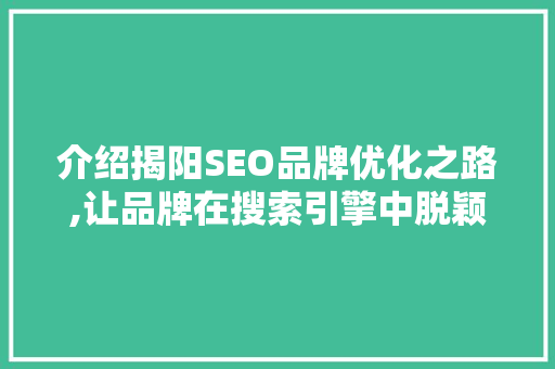 介绍揭阳SEO品牌优化之路,让品牌在搜索引擎中脱颖而出