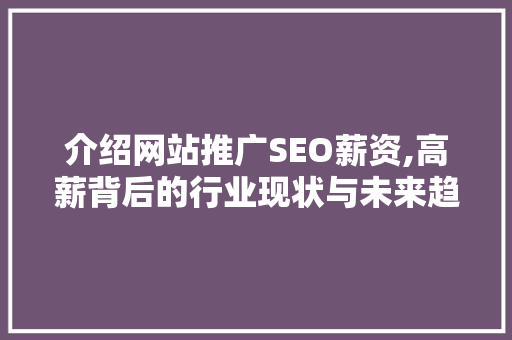 介绍网站推广SEO薪资,高薪背后的行业现状与未来趋势