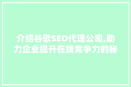 介绍谷歌SEO代理公司,助力企业提升在线竞争力的秘密武器