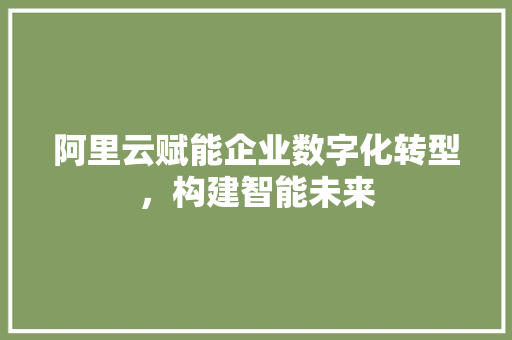 阿里云赋能企业数字化转型，构建智能未来