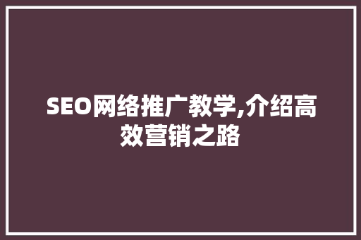 SEO网络推广教学,介绍高效营销之路