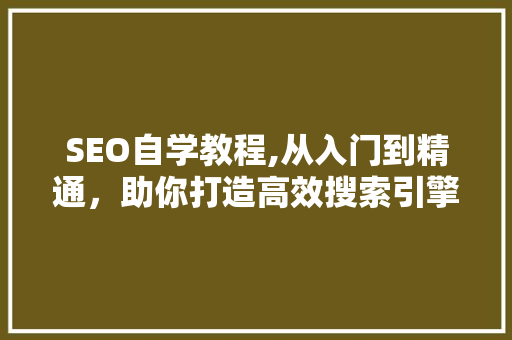 SEO自学教程,从入门到精通，助你打造高效搜索引擎优化步骤