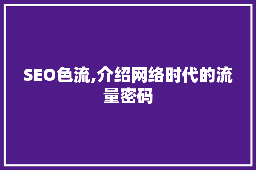 SEO色流,介绍网络时代的流量密码