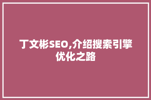 丁文彬SEO,介绍搜索引擎优化之路