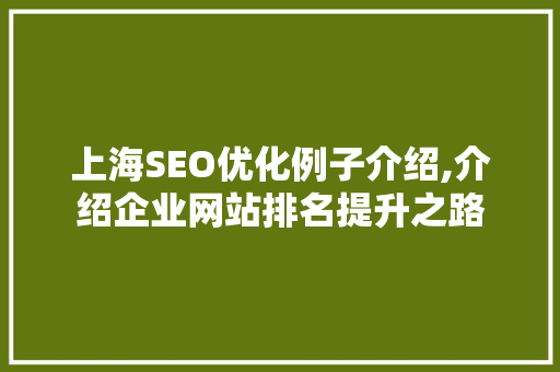 上海SEO优化例子介绍,介绍企业网站排名提升之路