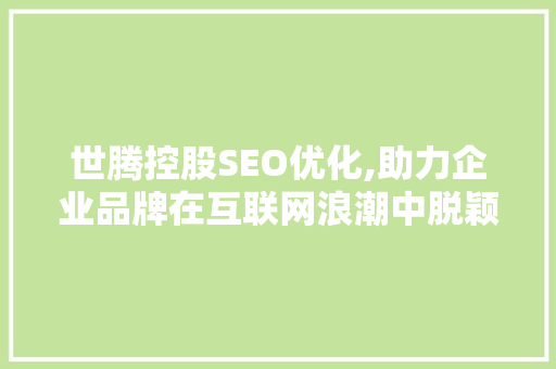 世腾控股SEO优化,助力企业品牌在互联网浪潮中脱颖而出