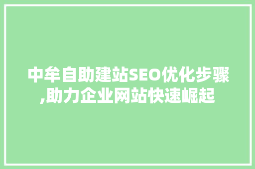 中牟自助建站SEO优化步骤,助力企业网站快速崛起