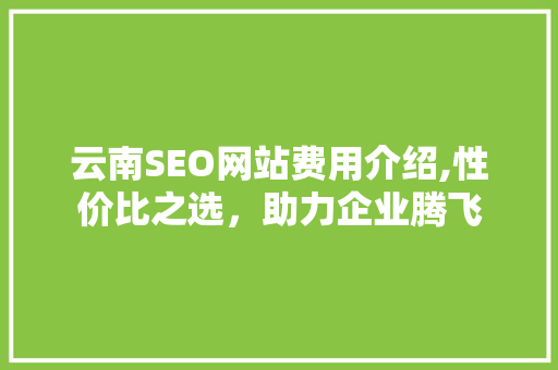 云南SEO网站费用介绍,性价比之选，助力企业腾飞