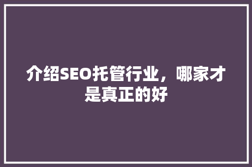 介绍SEO托管行业，哪家才是真正的好