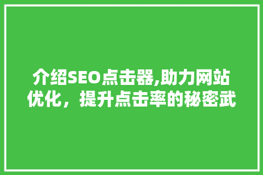 介绍SEO点击器,助力网站优化，提升点击率的秘密武器