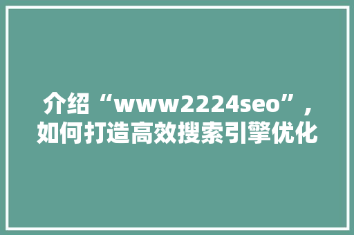 介绍“www2224seo”,如何打造高效搜索引擎优化步骤