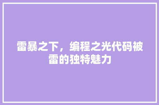 雷暴之下，编程之光代码被雷的独特魅力