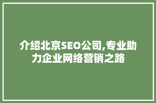 介绍北京SEO公司,专业助力企业网络营销之路