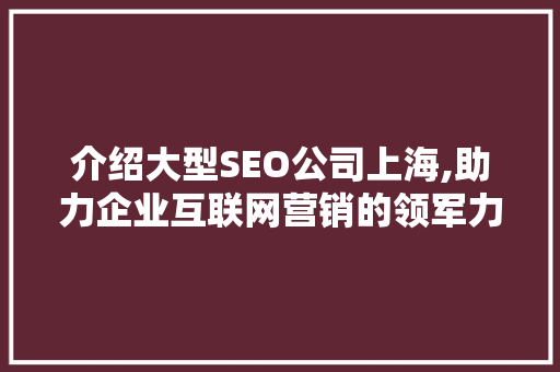 介绍大型SEO公司上海,助力企业互联网营销的领军力量