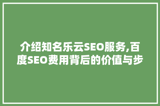 介绍知名乐云SEO服务,百度SEO费用背后的价值与步骤