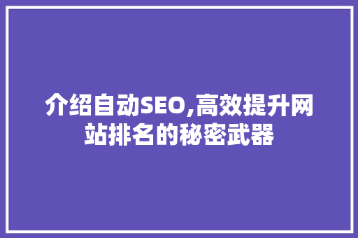 介绍自动SEO,高效提升网站排名的秘密武器