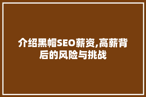 介绍黑帽SEO薪资,高薪背后的风险与挑战