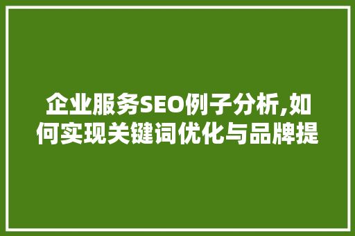 企业服务SEO例子分析,如何实现关键词优化与品牌提升