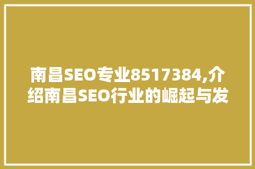 南昌SEO专业8517384,介绍南昌SEO行业的崛起与发展