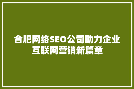 合肥网络SEO公司助力企业互联网营销新篇章