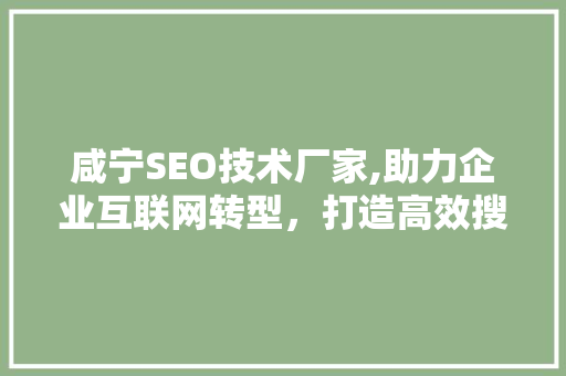 咸宁SEO技术厂家,助力企业互联网转型，打造高效搜索引擎优化解决方法