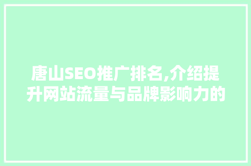 唐山SEO推广排名,介绍提升网站流量与品牌影响力的方法