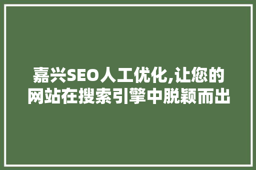 嘉兴SEO人工优化,让您的网站在搜索引擎中脱颖而出