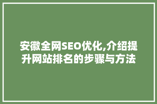 安徽全网SEO优化,介绍提升网站排名的步骤与方法