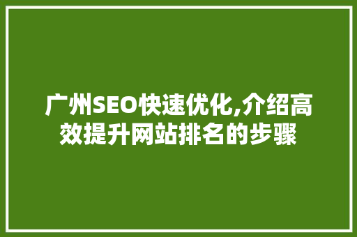 广州SEO快速优化,介绍高效提升网站排名的步骤