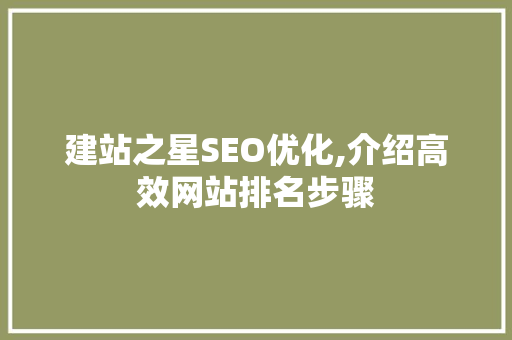 建站之星SEO优化,介绍高效网站排名步骤