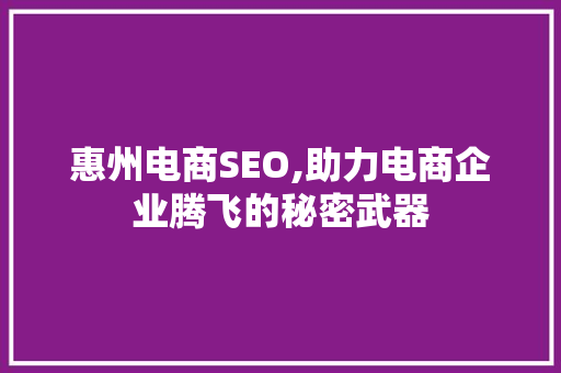 惠州电商SEO,助力电商企业腾飞的秘密武器