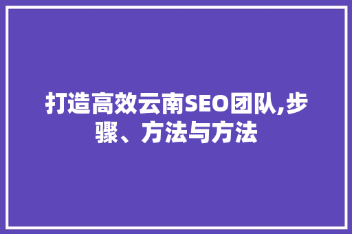 打造高效云南SEO团队,步骤、方法与方法