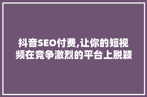 抖音SEO付费,让你的短视频在竞争激烈的平台上脱颖而出