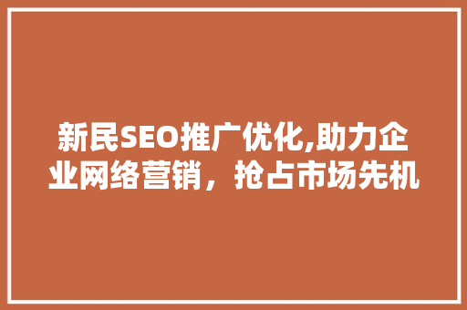 新民SEO推广优化,助力企业网络营销，抢占市场先机