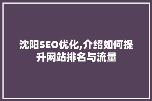 沈阳SEO优化,介绍如何提升网站排名与流量