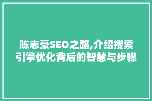陈志豪SEO之路,介绍搜索引擎优化背后的智慧与步骤
