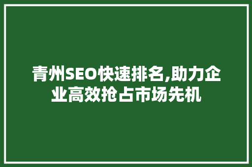 青州SEO快速排名,助力企业高效抢占市场先机  第1张