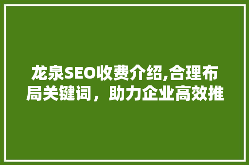 龙泉SEO收费介绍,合理布局关键词，助力企业高效推广  第1张