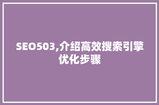SEO503,介绍高效搜索引擎优化步骤