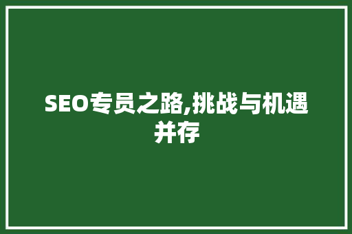 SEO专员之路,挑战与机遇并存