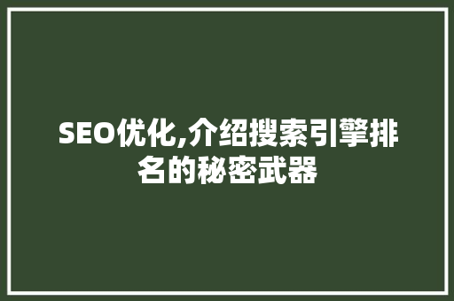 SEO优化,介绍搜索引擎排名的秘密武器