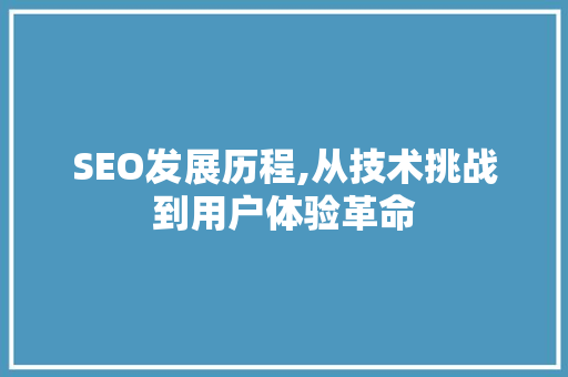 SEO发展历程,从技术挑战到用户体验革命