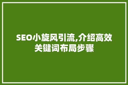 SEO小旋风引流,介绍高效关键词布局步骤