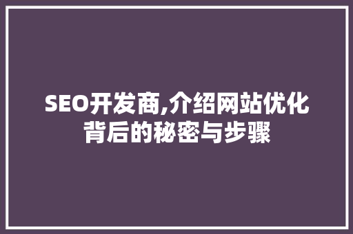 SEO开发商,介绍网站优化背后的秘密与步骤