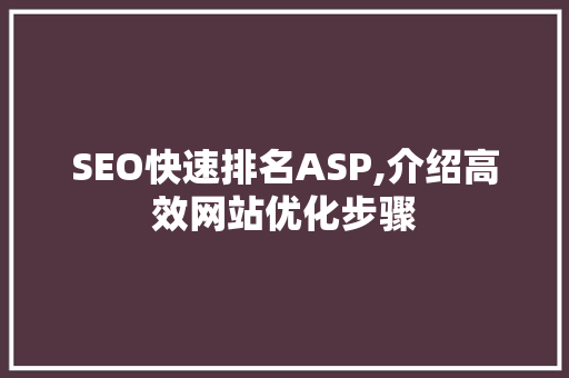 SEO快速排名ASP,介绍高效网站优化步骤