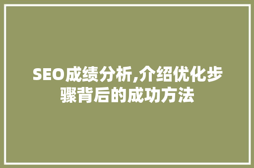 SEO成绩分析,介绍优化步骤背后的成功方法