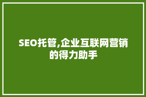 SEO托管,企业互联网营销的得力助手