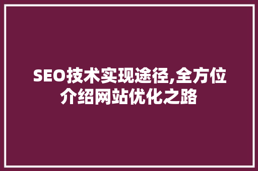 SEO技术实现途径,全方位介绍网站优化之路