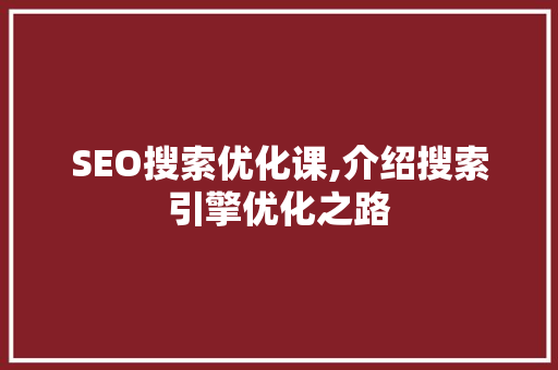 SEO搜索优化课,介绍搜索引擎优化之路  第1张